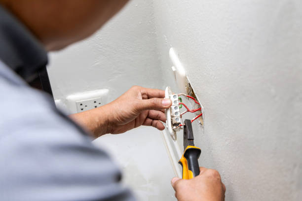 Best Electrical Troubleshooting Services  in Lake Sconsin, WI
