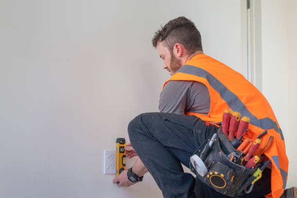 Best Electrical Repair Services  in Lake Sconsin, WI