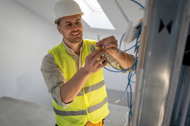 Best Electric Panel Repair  in Lake Sconsin, WI